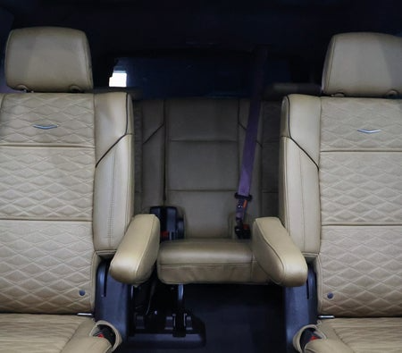 Cadillac_Escalade_2021_14794_147 (3)