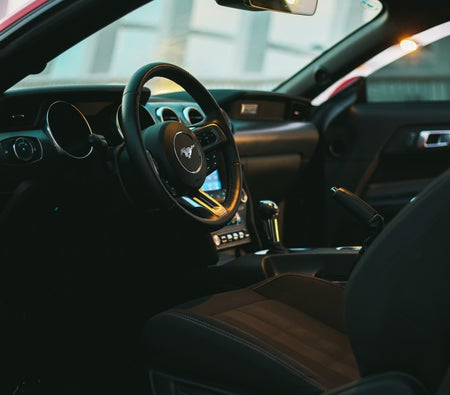 Ford_Mustang-EcoBoost-Coupe-V4_2 (3)