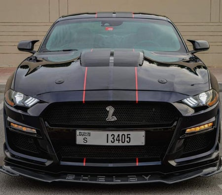 Ford_Mustang-Shelby-GT500-Kit-Co (1)