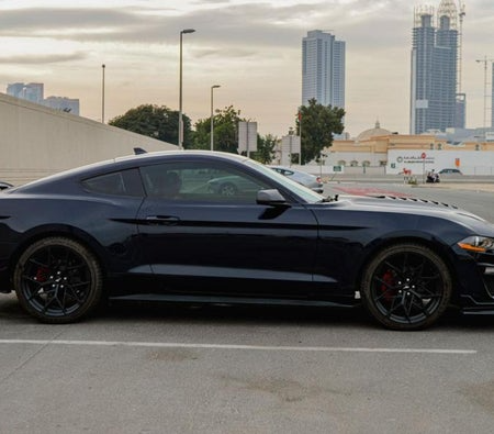 Ford_Mustang-Shelby-GT500-Kit-Co (2)