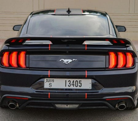Ford_Mustang-Shelby-GT500-Kit-Co (3)