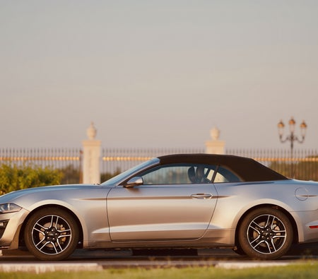 Ford_Mustang-Shelby-GT500-Kit-Co (5)