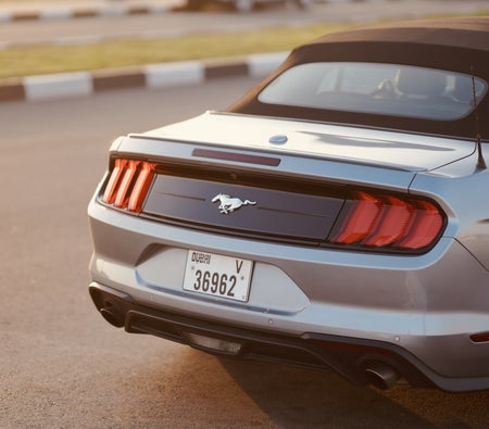 Ford_Mustang-Shelby-GT500-Kit-Co (6)