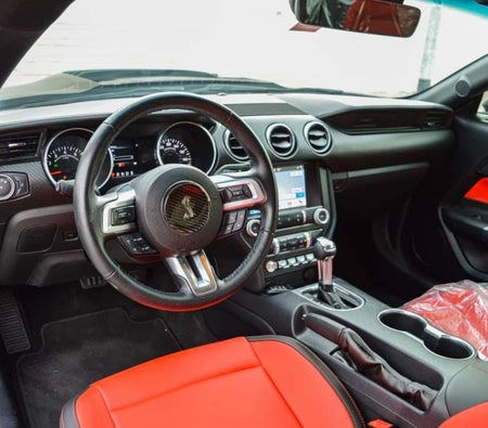 Ford_Mustang-Shelby-GT500-Kit-Co