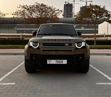 Land-Rover_Defender-V6_2024_3246 (1)