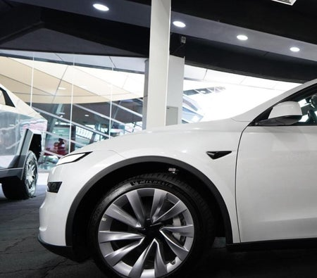 Tesla_Model-Y_2025_39557_39557_3 (2)