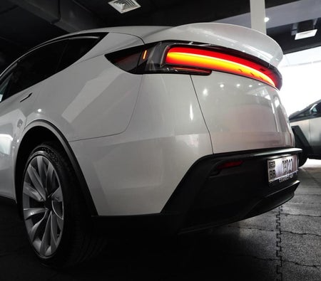 Tesla_Model-Y_2025_39557_39557_3 (4)