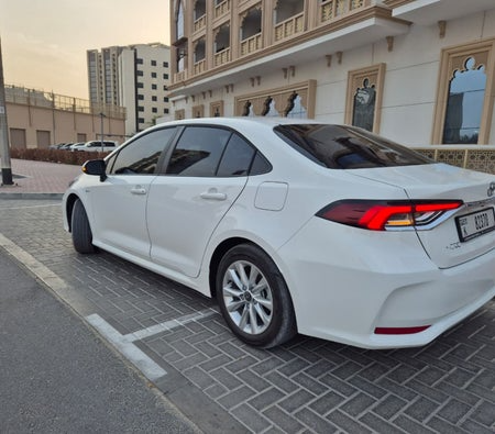 Toyota_Corolla_2025_40104_40104 (3)